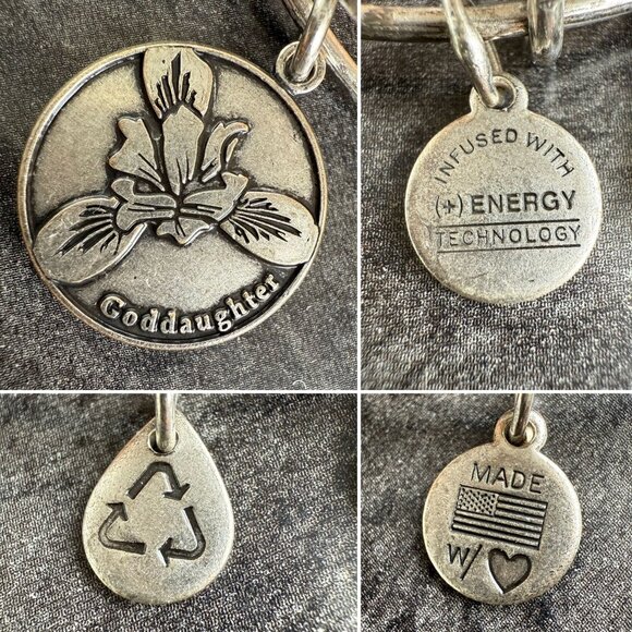 Blessed Bond Alex and Ani Goddaughter Charm Bracelet in Rafaelian Silver 2014 Se - Picture 4 of 14